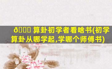 🐝 算卦初学者看啥书(初学算卦从哪学起,学哪个师傅书)